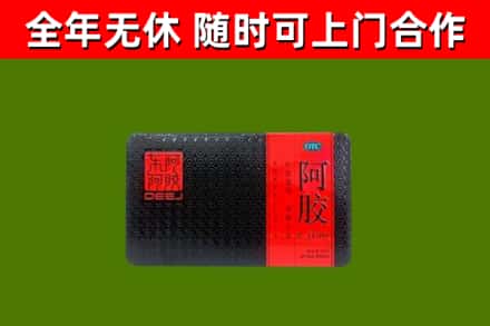 会理县回收阿胶