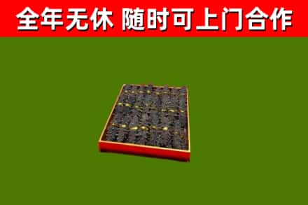 会理县回收海参
